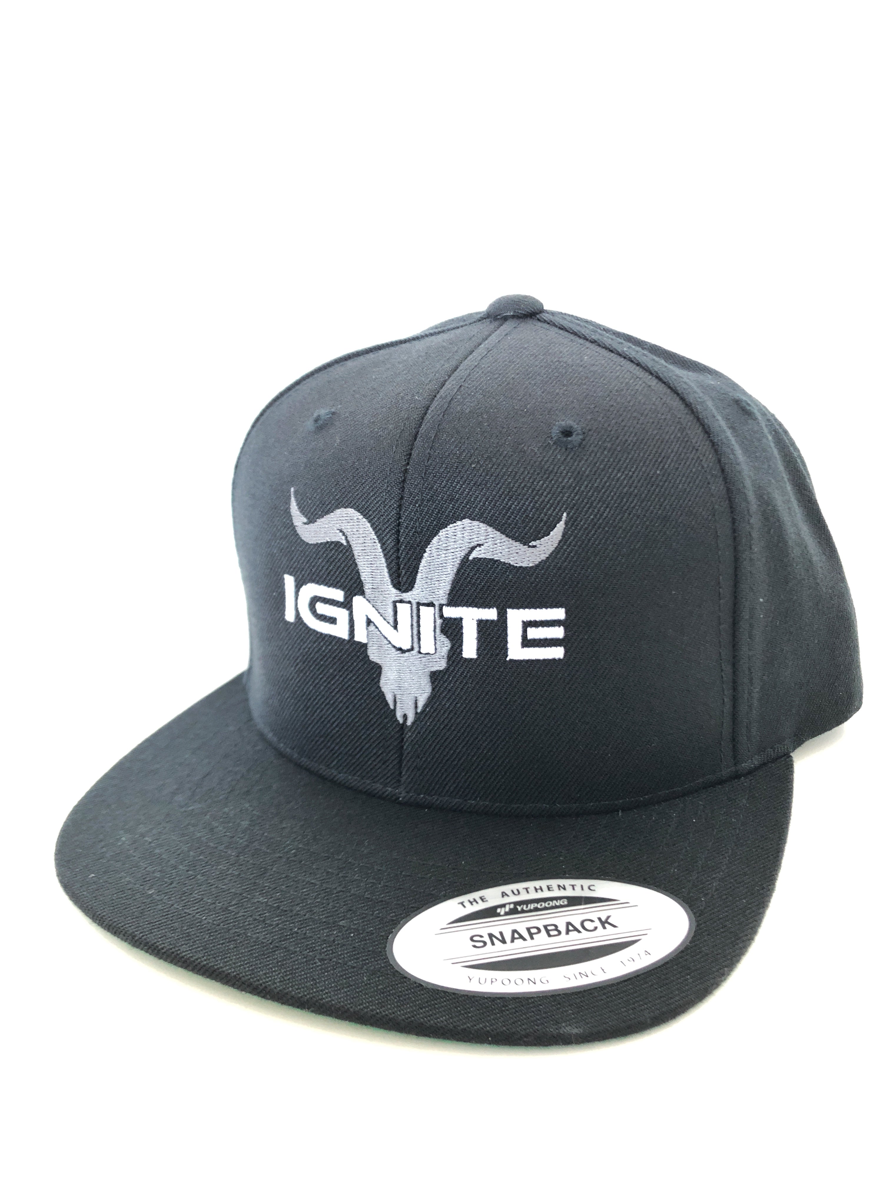 Flat Bill Snapback Hat with Grey Logo - IGNITE INTERNATIONAL BRANDS (U.K.) LTD